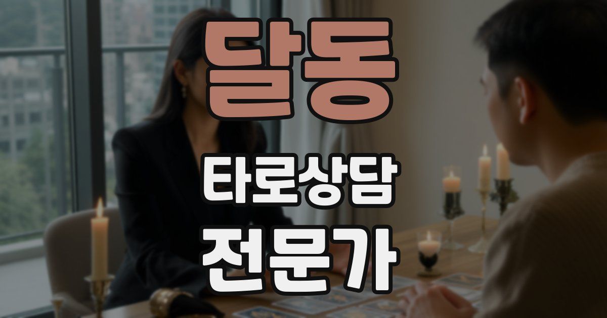 달동 타로상담전문가 자격증