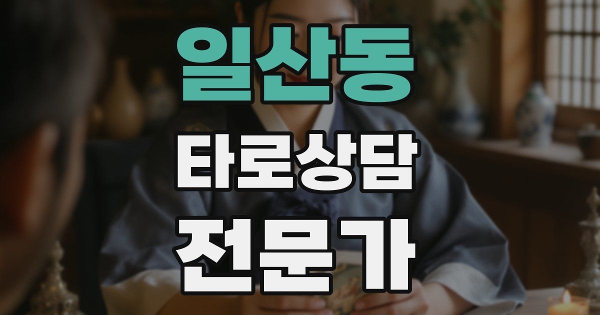 일산동 타로상담전문가 자격증