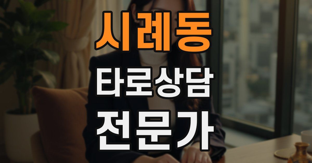 시례동 타로상담전문가 자격증