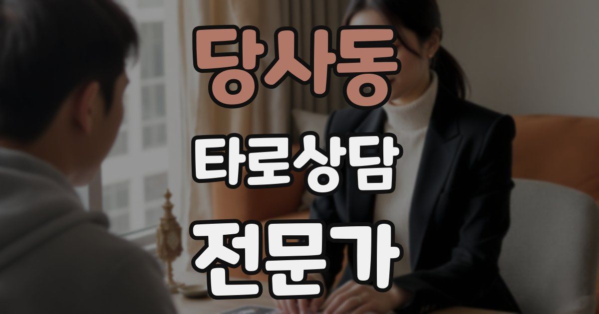 당사동 타로상담전문가 자격증