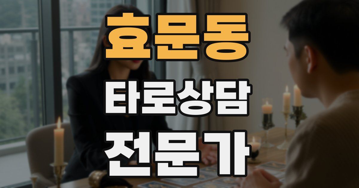 효문동 타로상담전문가 자격증
