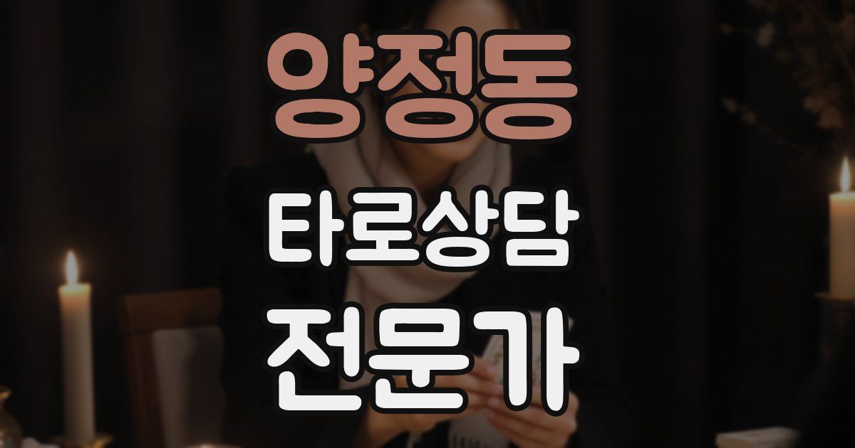 양정동 타로상담전문가 자격증