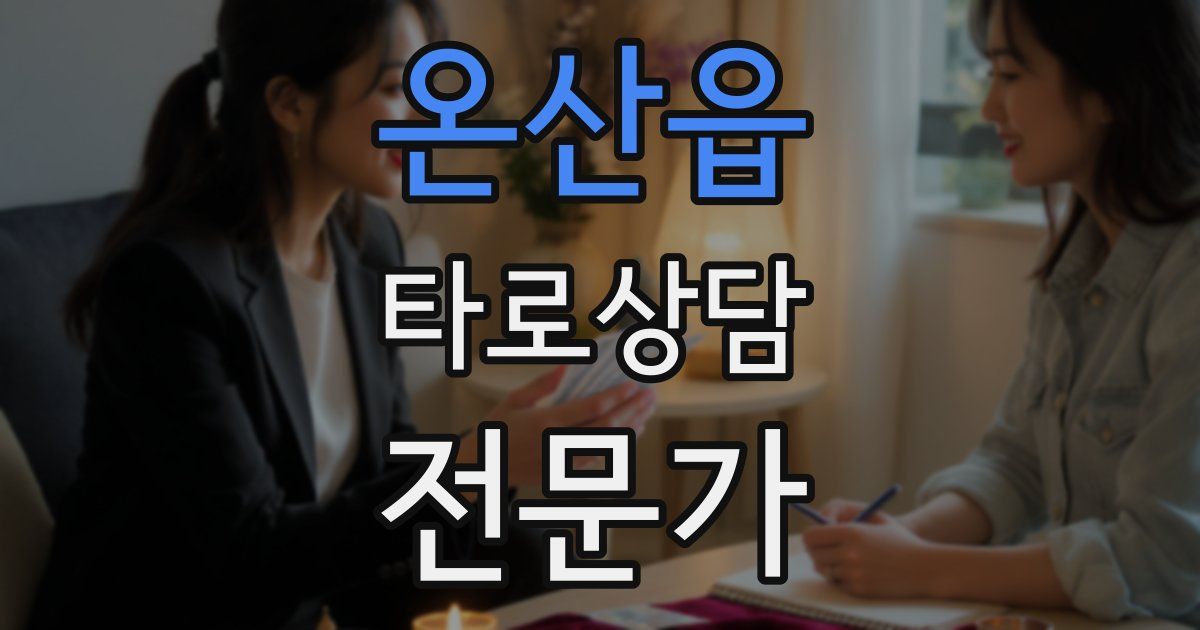 온산읍 타로상담전문가 자격증