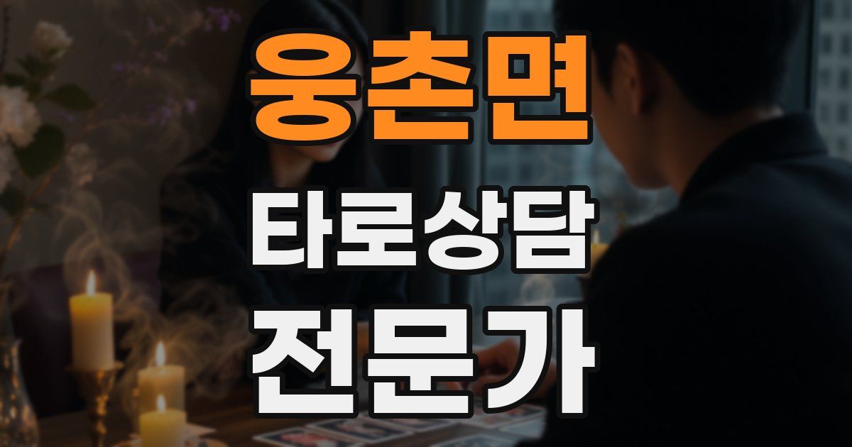 웅촌면 타로상담전문가 자격증
