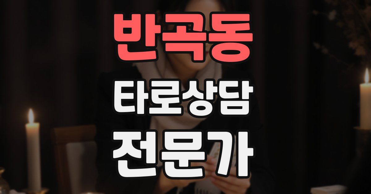 반곡동 타로상담전문가 자격증