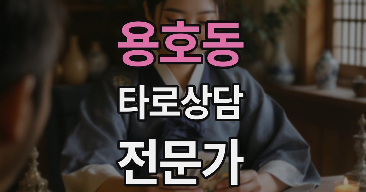 용호동 타로상담전문가 자격증