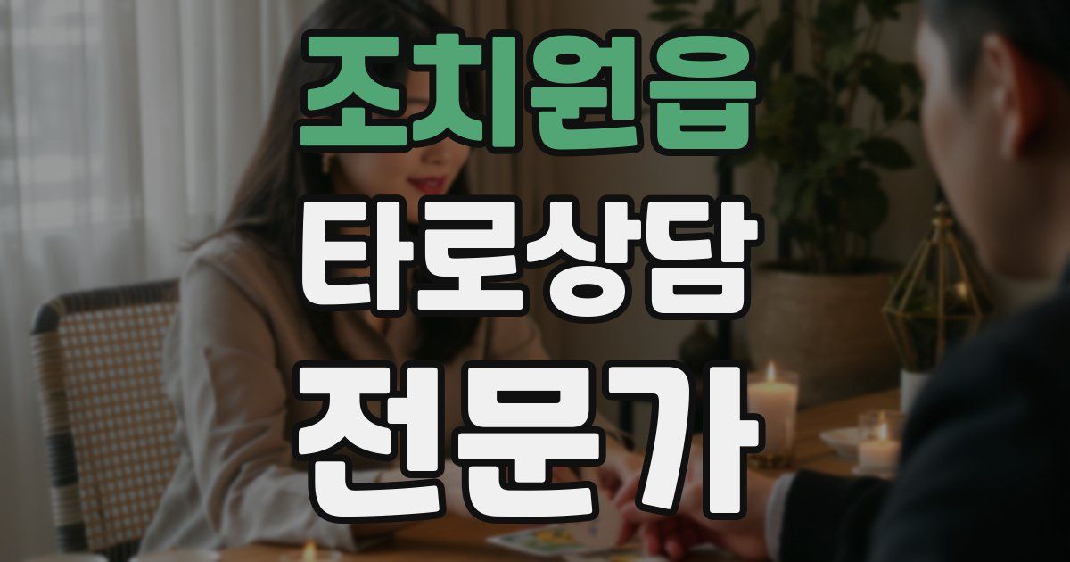 조치원읍 타로상담전문가 자격증