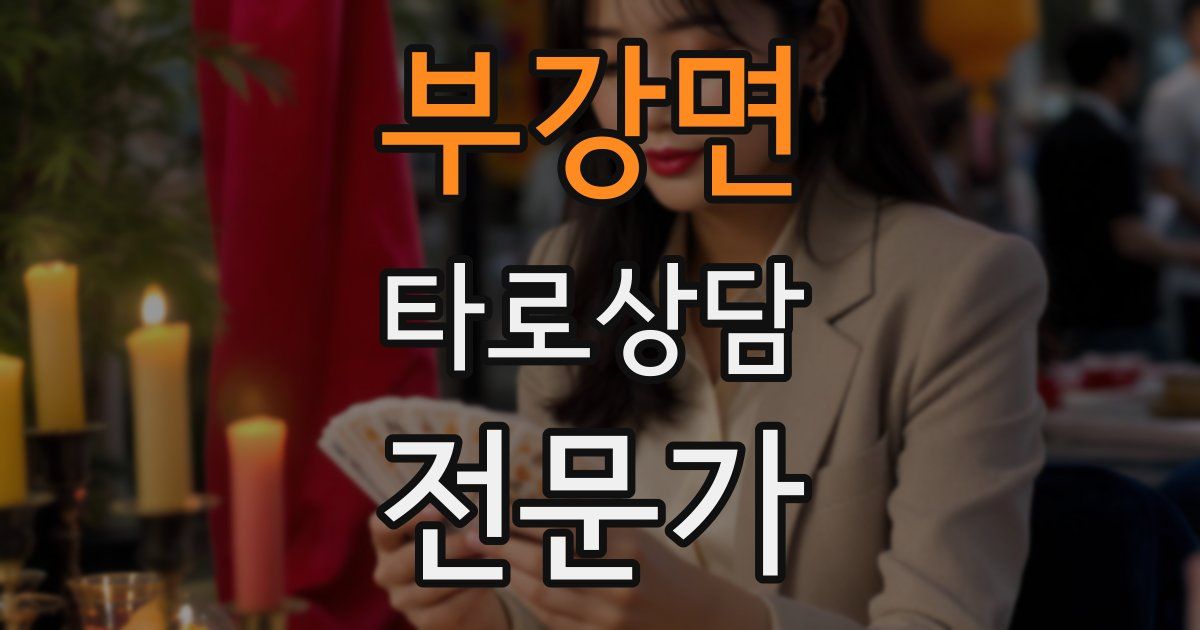 부강면 타로상담전문가 자격증