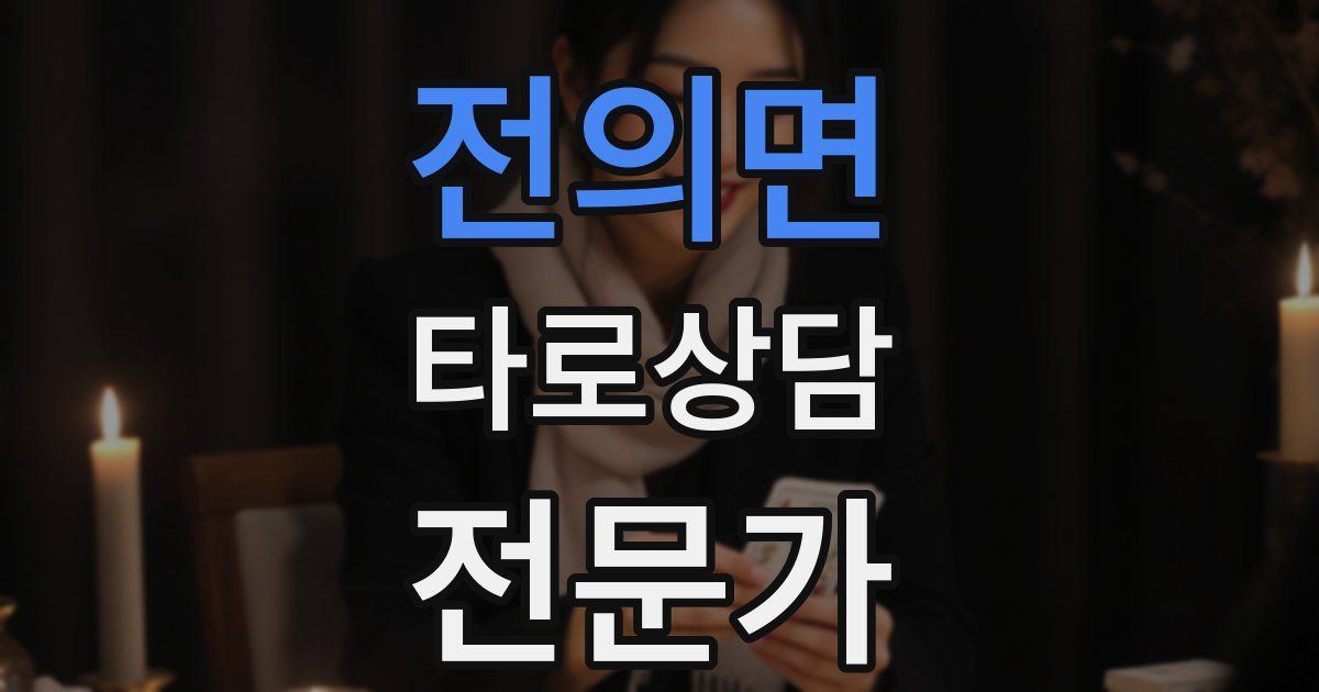 전의면 타로상담전문가 자격증
