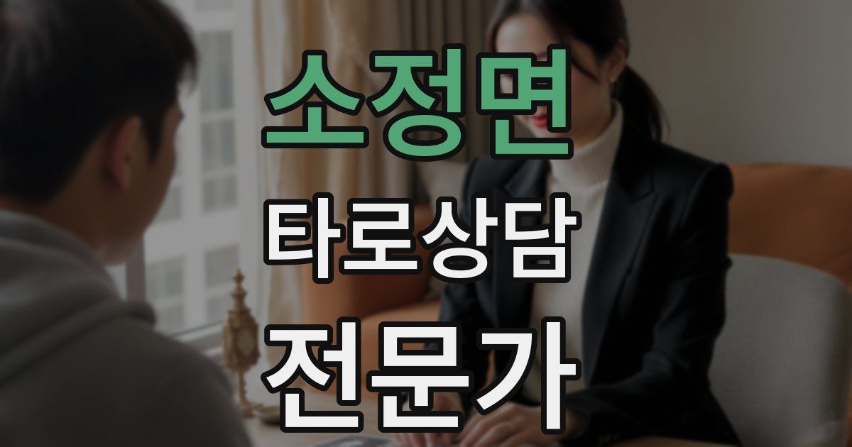 소정면 타로상담전문가 자격증