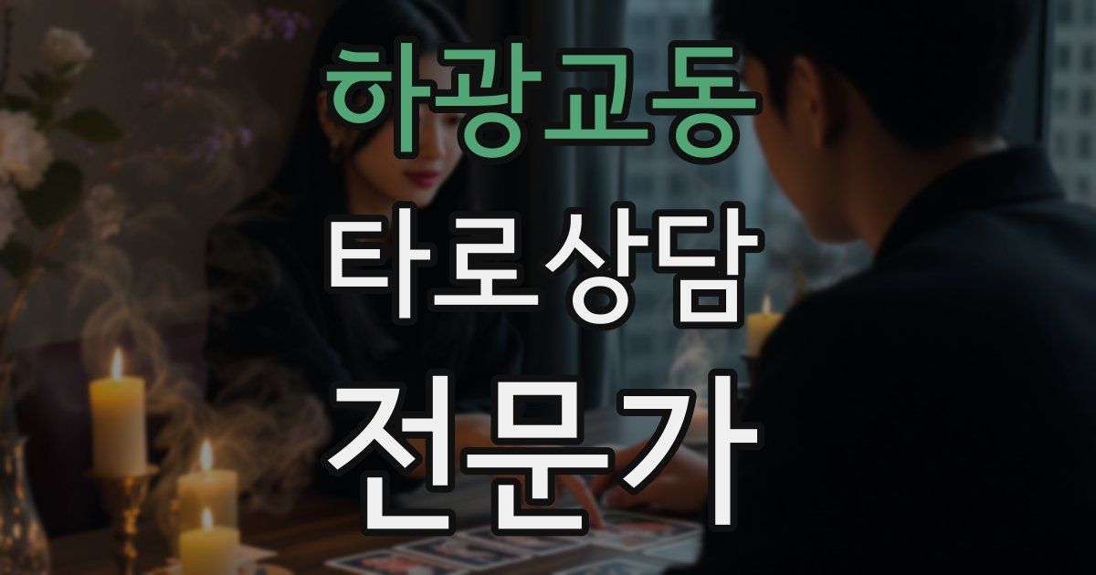 하광교동 타로상담전문가 자격증