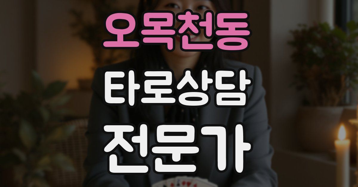 오목천동 타로상담전문가 자격증