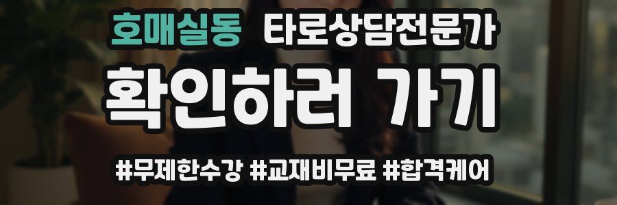 호매실동 타로상담전문가 자격증