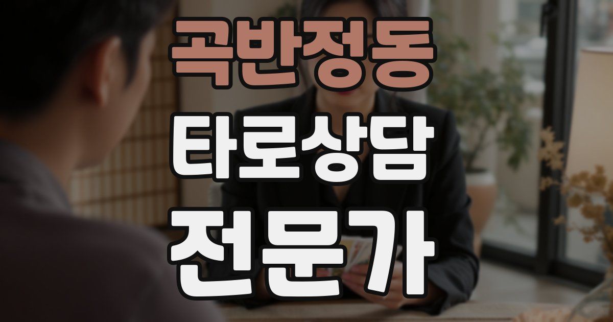 곡반정동 타로상담전문가 자격증