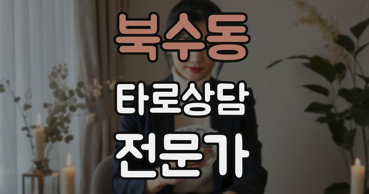 북수동 타로상담전문가 자격증