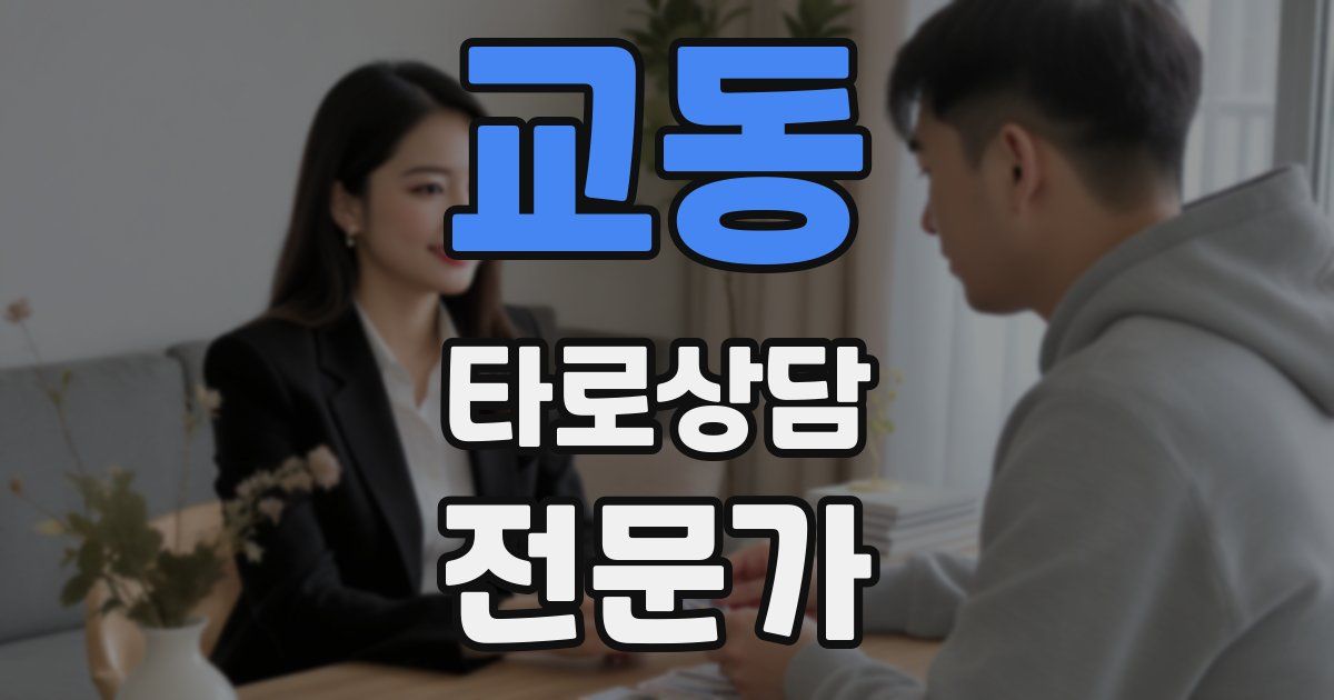교동 타로상담전문가 자격증