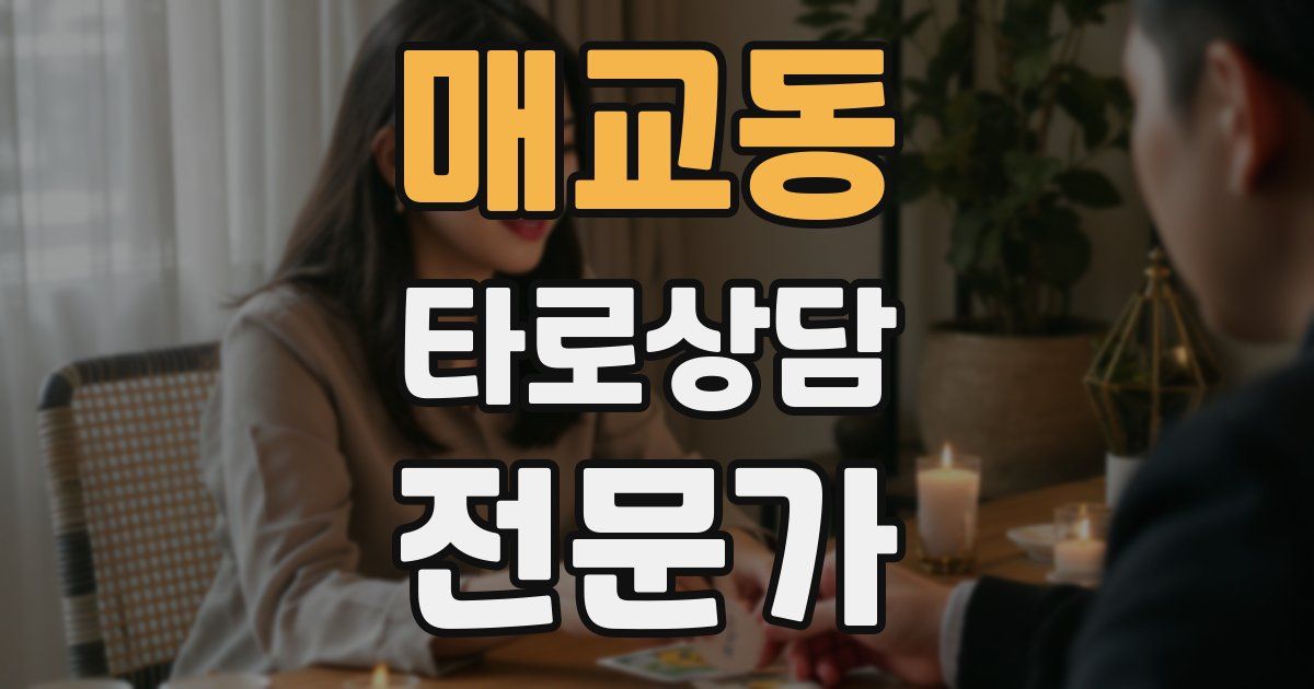 매교동 타로상담전문가 자격증