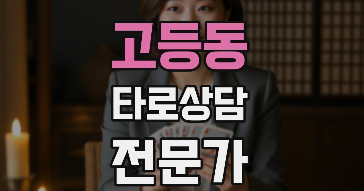 고등동 타로상담전문가 자격증