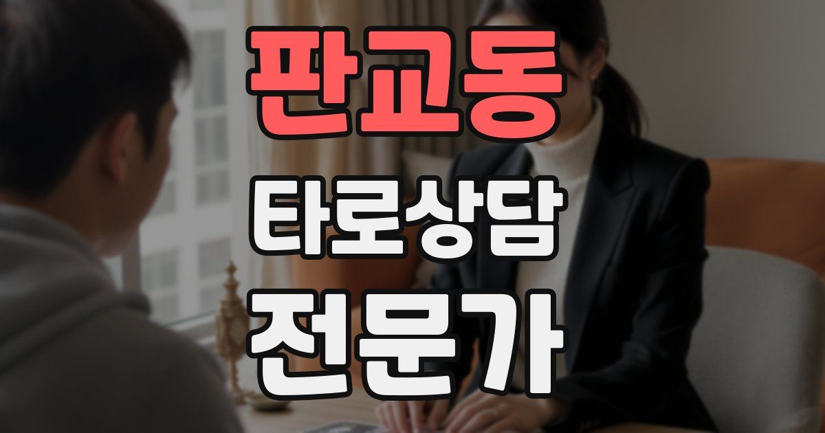 판교동 타로상담전문가 자격증