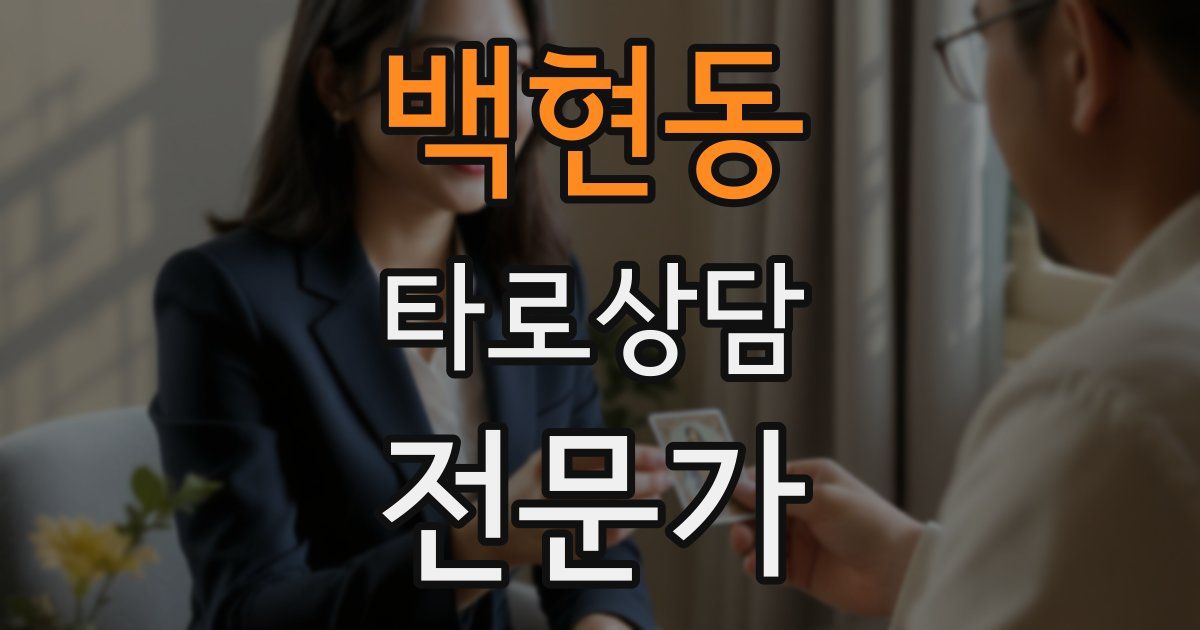 백현동 타로상담전문가 자격증