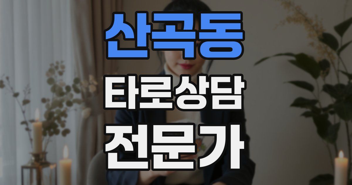 산곡동 타로상담전문가 자격증