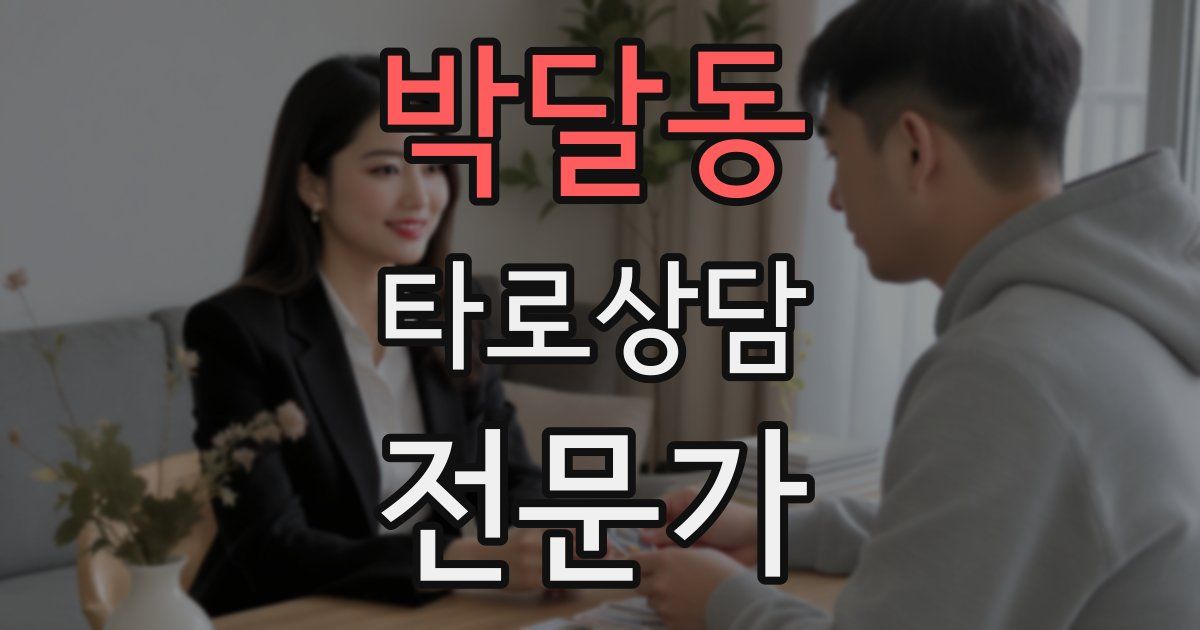 박달동 타로상담전문가 자격증
