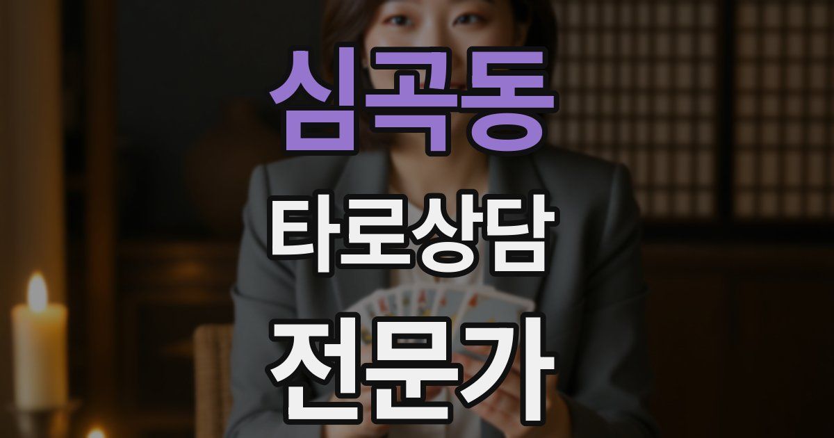 심곡동 타로상담전문가 자격증
