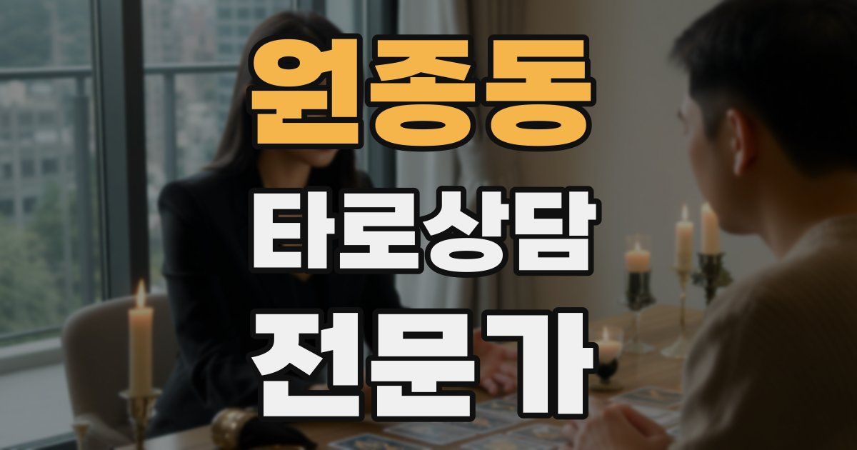 원종동 타로상담전문가 자격증