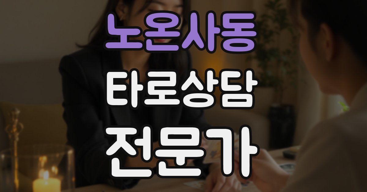 노온사동 타로상담전문가 자격증