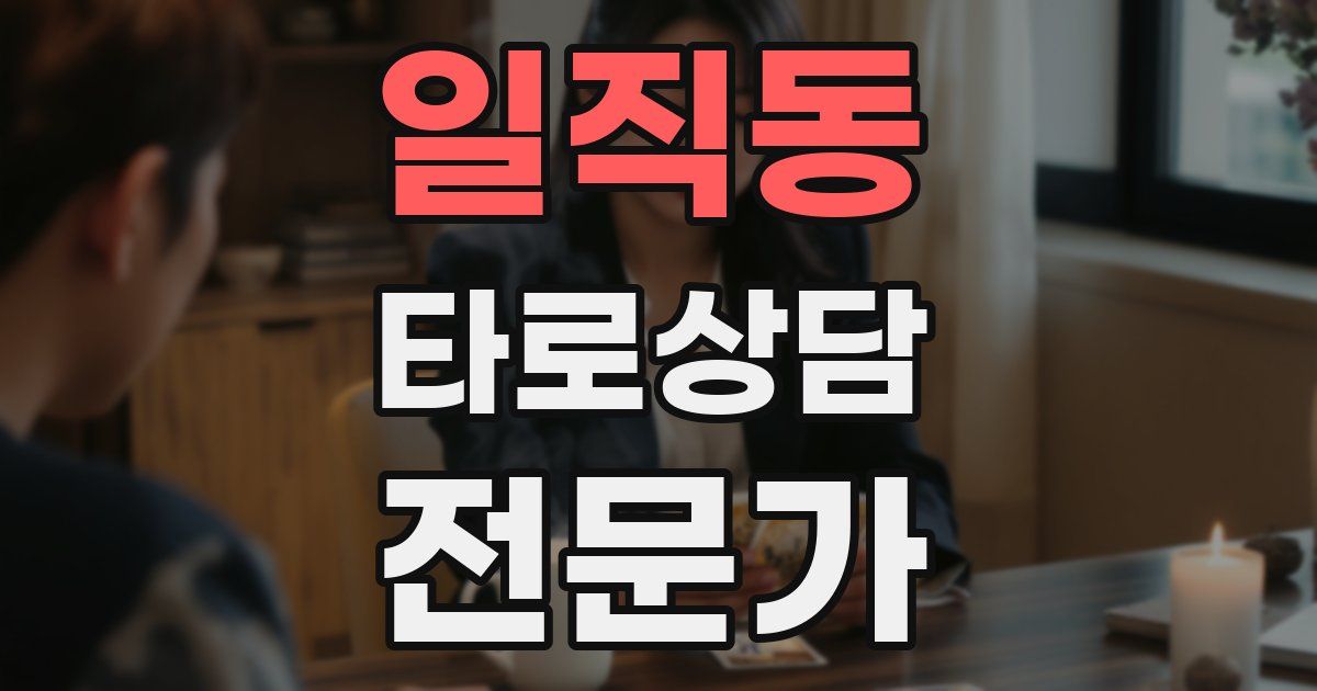 일직동 타로상담전문가 자격증