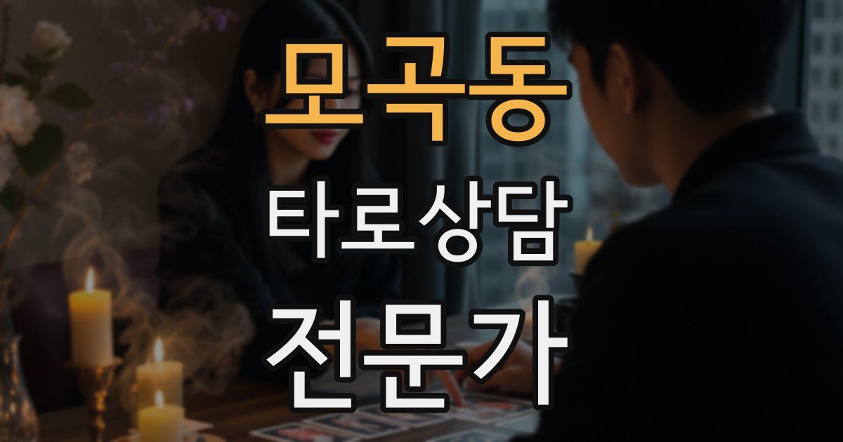 모곡동 타로상담전문가 자격증