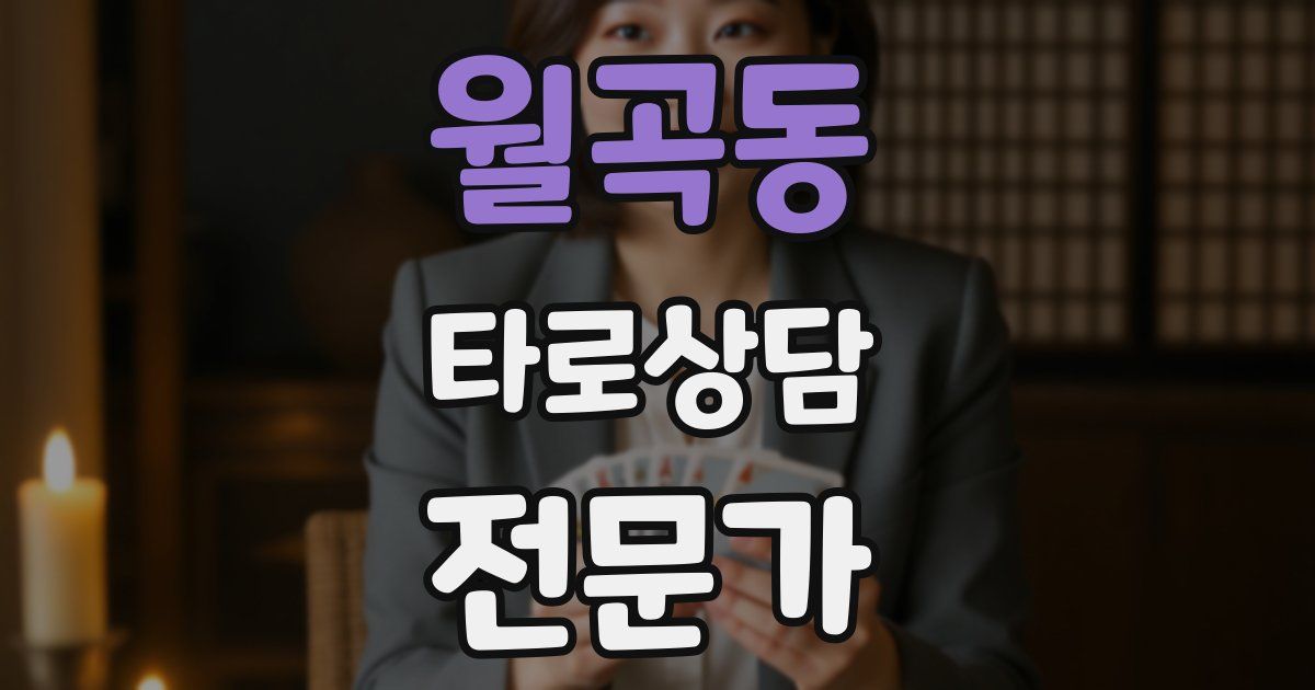 월곡동 타로상담전문가 자격증