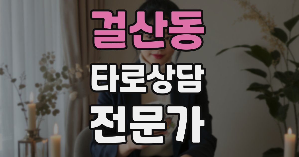 걸산동 타로상담전문가 자격증