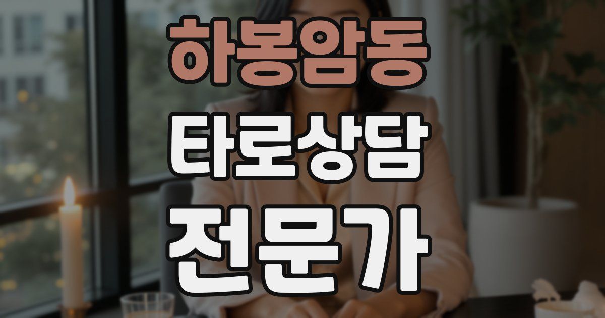 하봉암동 타로상담전문가 자격증