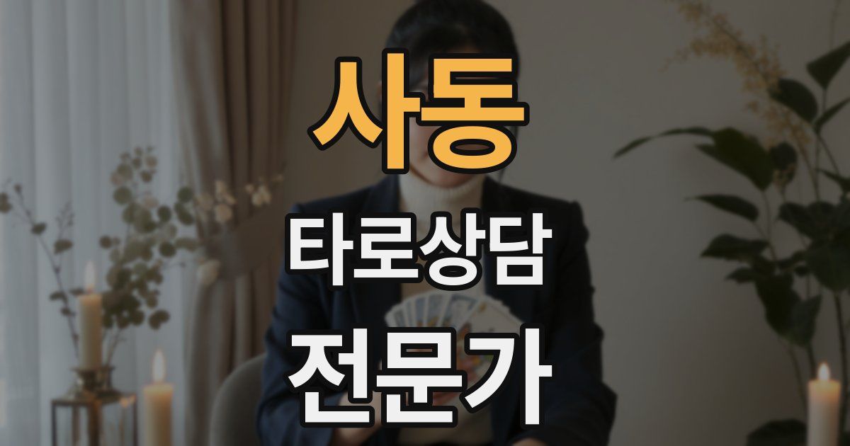 사동 타로상담전문가 자격증