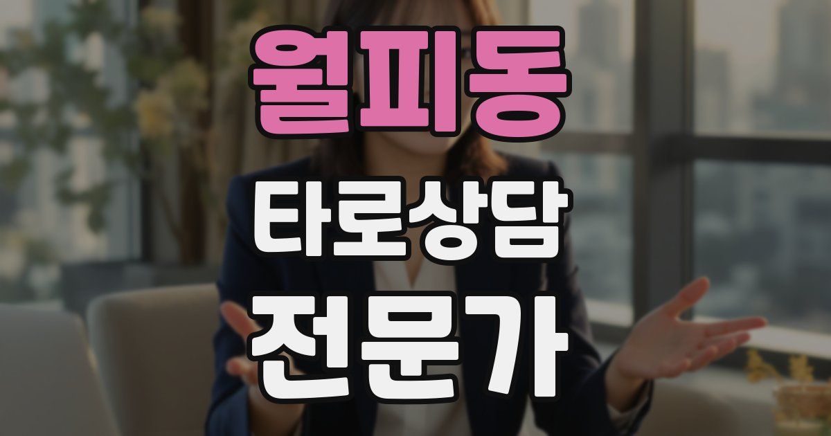 월피동 타로상담전문가 자격증