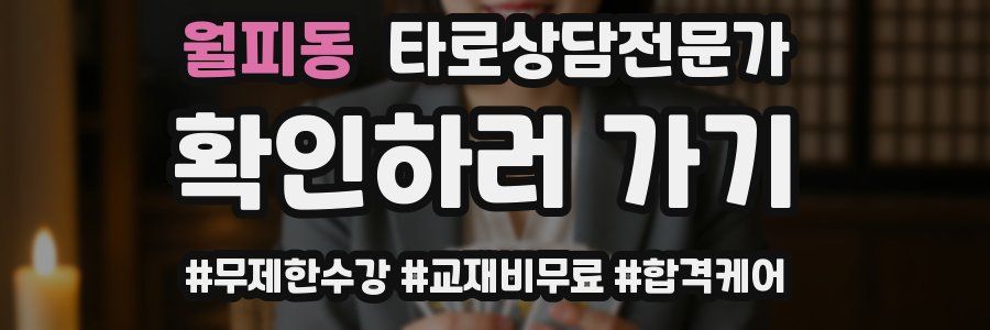월피동 타로상담전문가 자격증