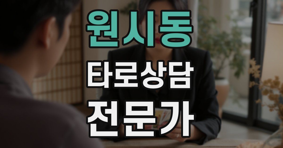 원시동 타로상담전문가 자격증
