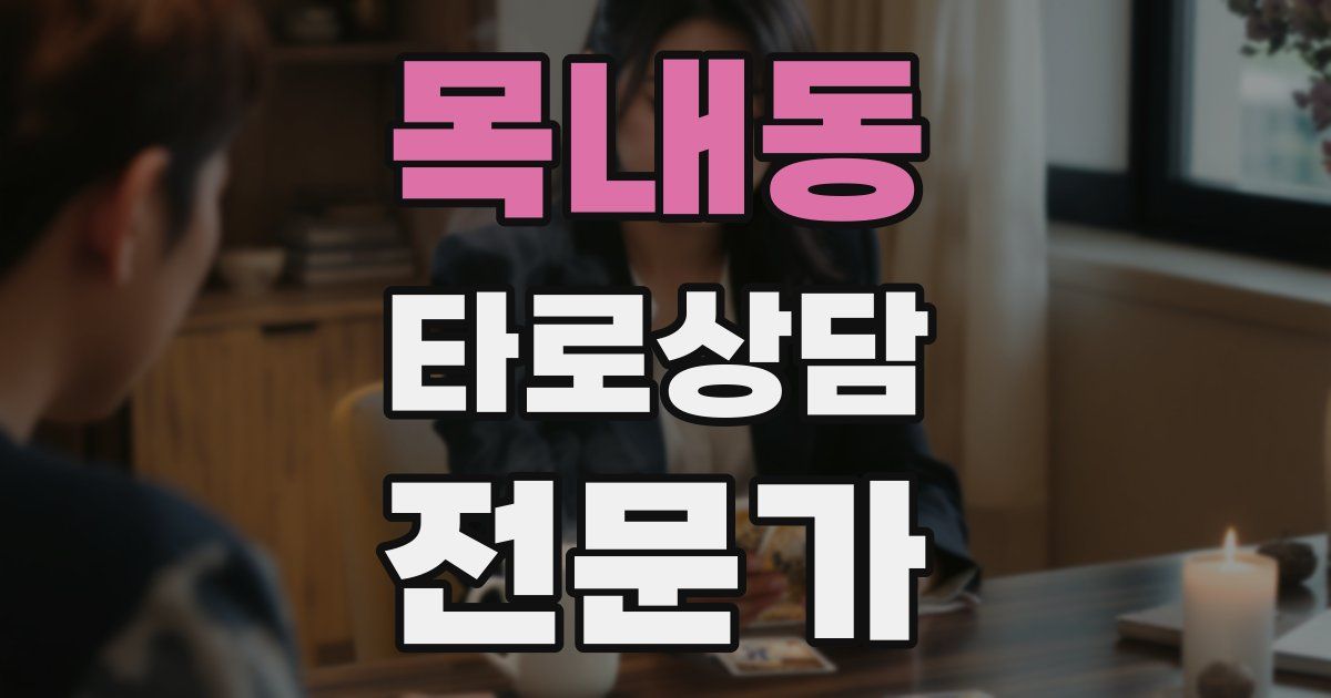 목내동 타로상담전문가 자격증
