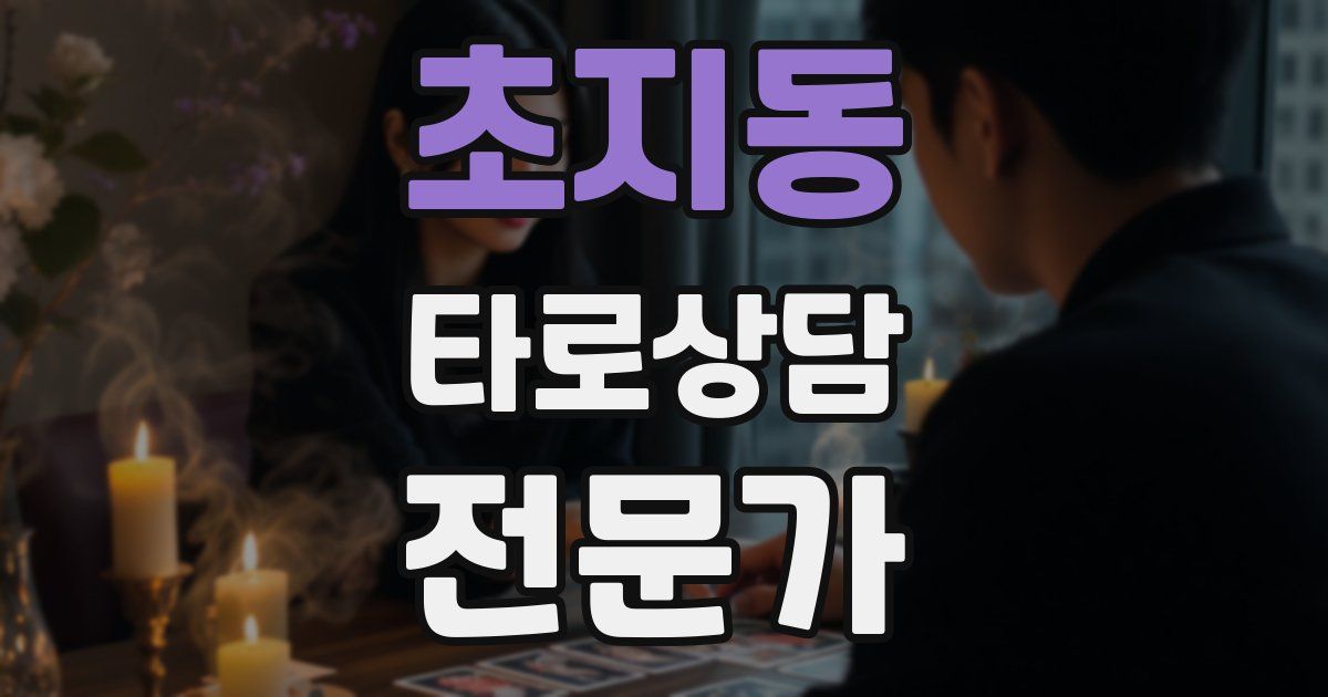 초지동 타로상담전문가 자격증