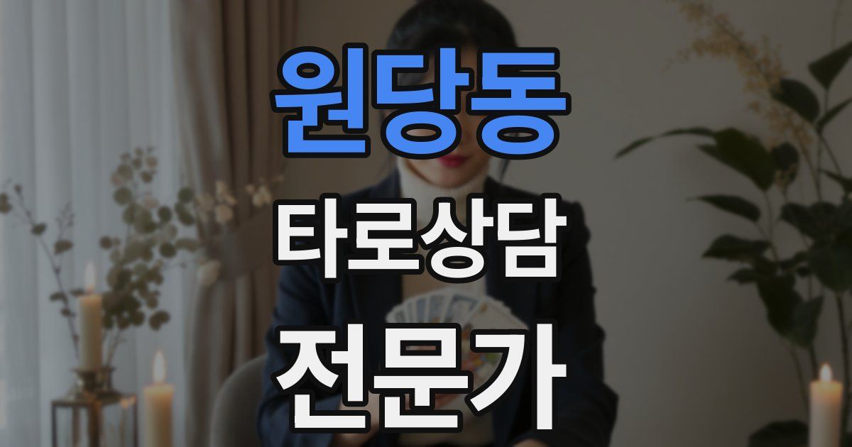 원당동 타로상담전문가 자격증