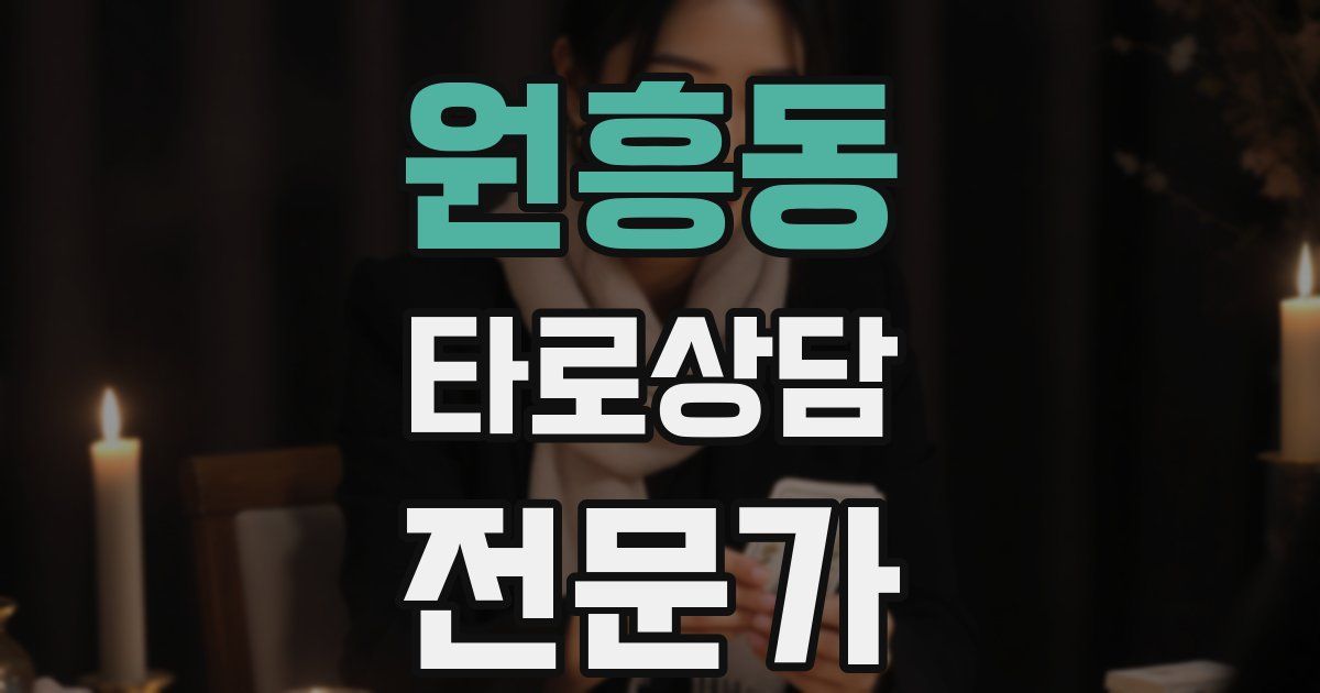 원흥동 타로상담전문가 자격증