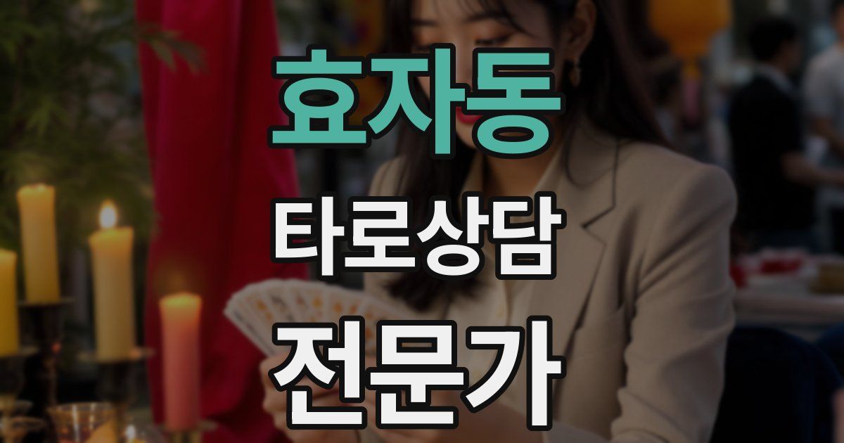 효자동 타로상담전문가 자격증