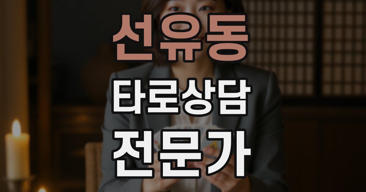 선유동 타로상담전문가 자격증