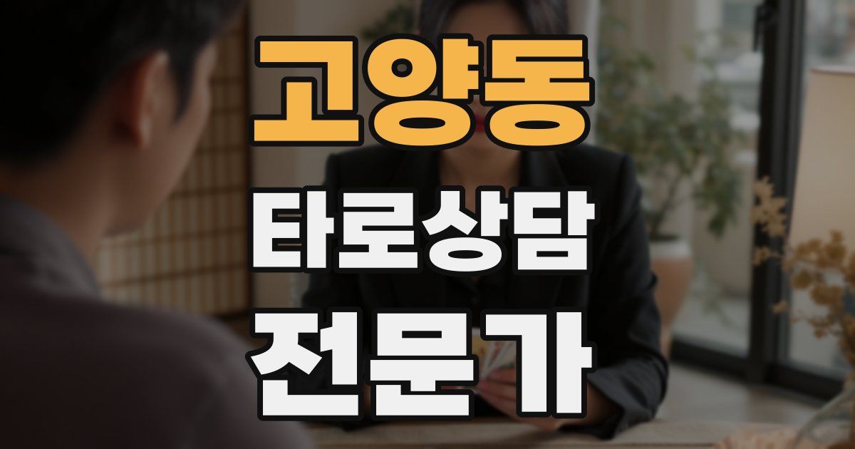 고양동 타로상담전문가 자격증