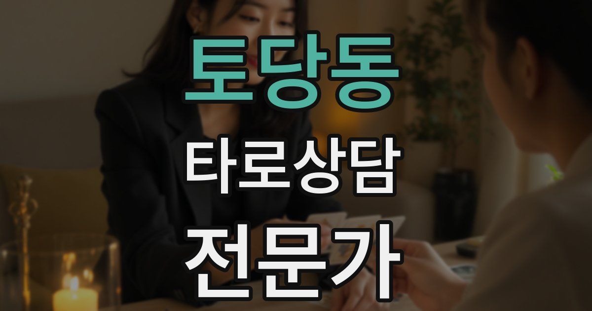 토당동 타로상담전문가 자격증