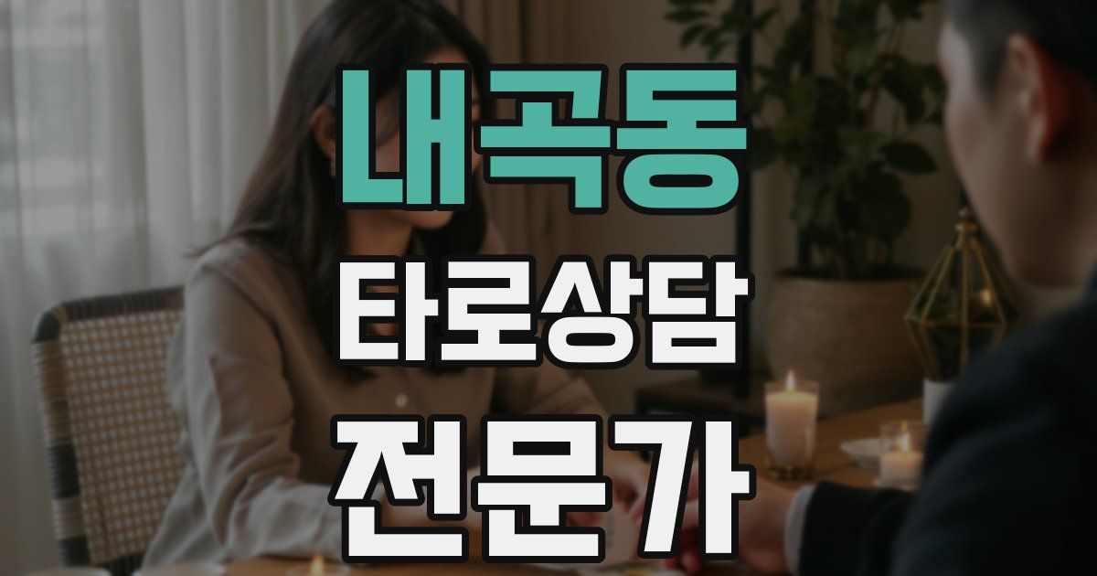 내곡동 타로상담전문가 자격증