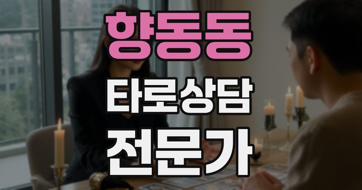 향동동 타로상담전문가 자격증