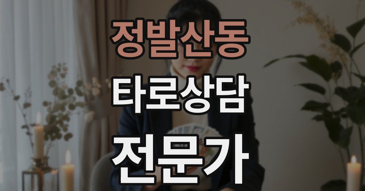 정발산동 타로상담전문가 자격증