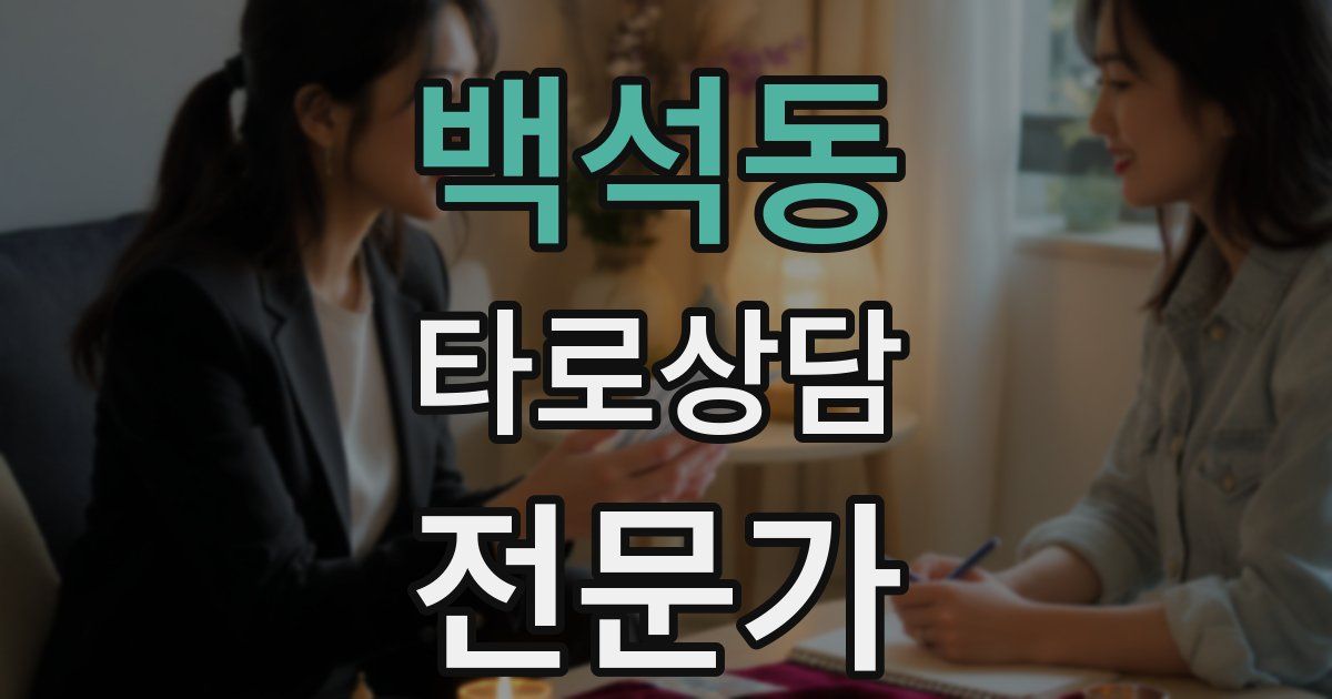 백석동 타로상담전문가 자격증